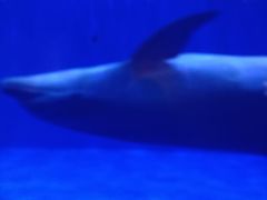 -华夏文旅西安度假区