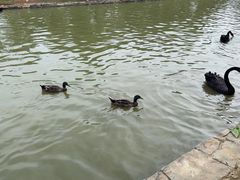 -南京金牛湖风景区