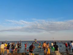 -碧海金沙