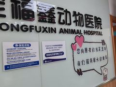 -宠福鑫动物医院(城北分院)