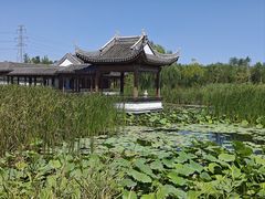 -水西公园