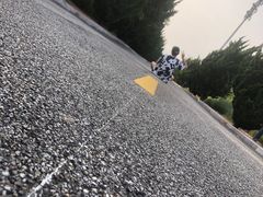 -宾朋美食海鲜餐厅·特色美食专访(兴海路店)