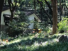 -中国茶叶博物馆(双峰馆区)