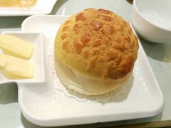 -南枝记