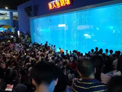 -福州罗源湾海洋世界旅游区