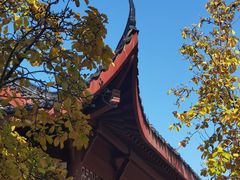 -堤角公园