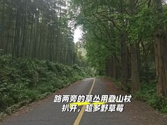 -东明山森林公园