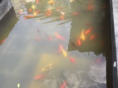 -老北京风情街