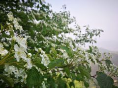 -沂蒙山旅游区云蒙景区(蒙山国家森林公园)