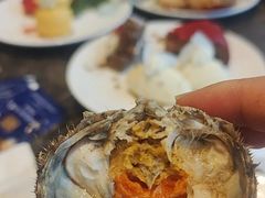 -济南凯宾斯基酒店-THE VIEW云景全日制餐厅