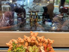 -WHEN PIGS FLY当猪飞