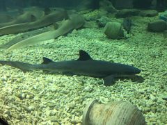 -福州罗源湾海洋世界旅游区