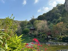 -云溪植物园