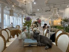 大堂-共舞时光猫咖·狗咖(新街口店)