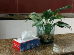 -广发银行(深圳分行营业部)
