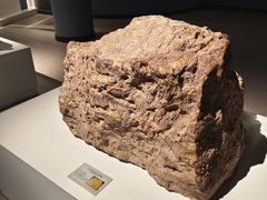 -辽宁古生物博物馆