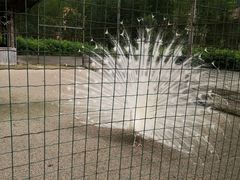 -韶关经律论国际酒店温泉