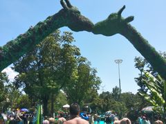 -苏州乐园森林水世界