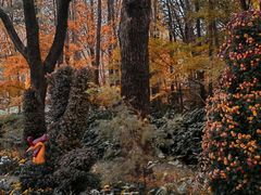 -上海共青森林公园