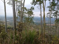 -分塔山省级森林公园