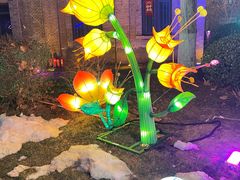 -和平卓尔口腔·矫正种植中心