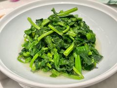 鸡油豆苗-蘭心·臻品(瑞虹太阳宫店)