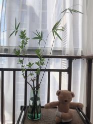 -吾之瑜生瑜伽普拉提学院