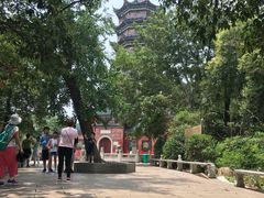 -焦山景区-万佛塔