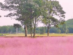 -汉长安城未央宫国家考古遗址公园