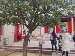 -青岛崂山太清宫
