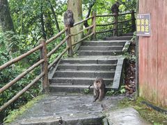 -峨眉山风景名胜区