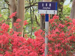 -东莞观音山旅游风景区
