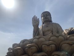 -龙口南山旅游景区