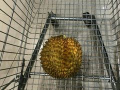 -万科城市广场(厚街店)
