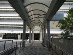 -香港大学