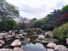 -神仙树公园