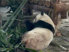 -泉州海丝野生动物世界