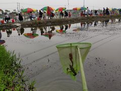 -梁鸿国家湿地公园