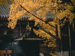 -大觉寺-停车场