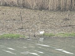 -晓琦农家菜馆·地道农家菜