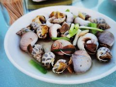盐水杂螺-白沙码头海鲜广场