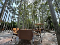 -桉树林A coffee 森林餐厅(三圣乡店)