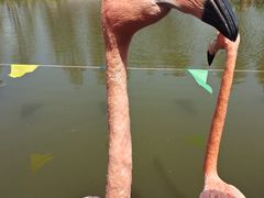 -宁波杭州湾国家湿地公园