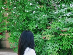 -府河摄影公园