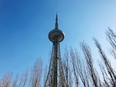 -龙塔