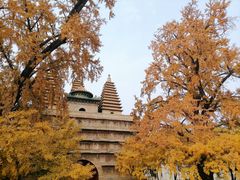 -北京石刻艺术博物馆(五塔寺)