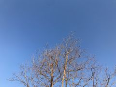 -良渚古城遗址公园