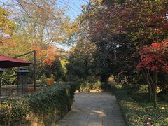 -杭州半山国家森林公园