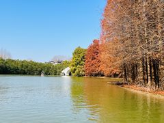 -上海海湾国家森林公园