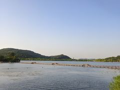 -枸杞岛